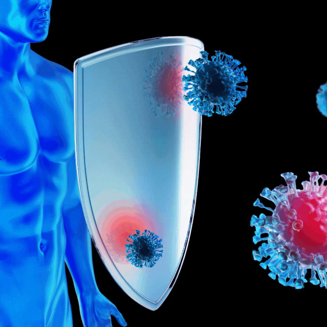 Silná imunita je základem dlouhodobého zdraví