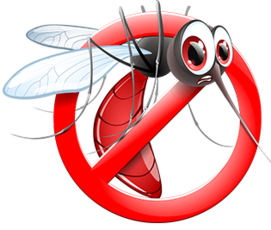 Když klíšťata a komáři útočí: Tipy, jak se ubránit