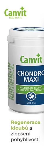 Canvit Chondro