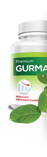 Premium Gurmar 60 enterosolventních tablet