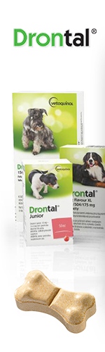 Drontal