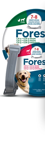 Foresto