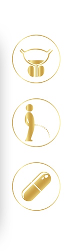 Prostabene Complex 45 kapslí Prostabene Complex 45 kapslí