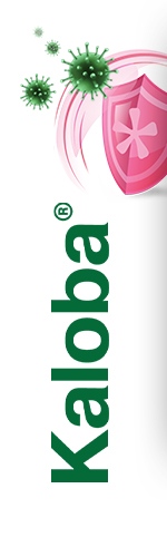 Kaloba Kaloba