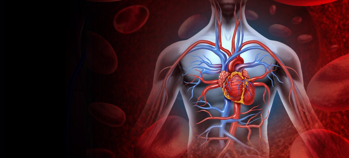 Naše srdce pracuje bez pauzy