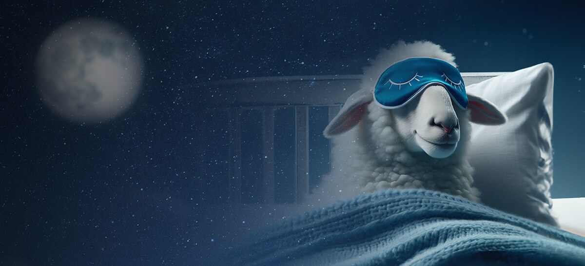 Ráno začíná už večer