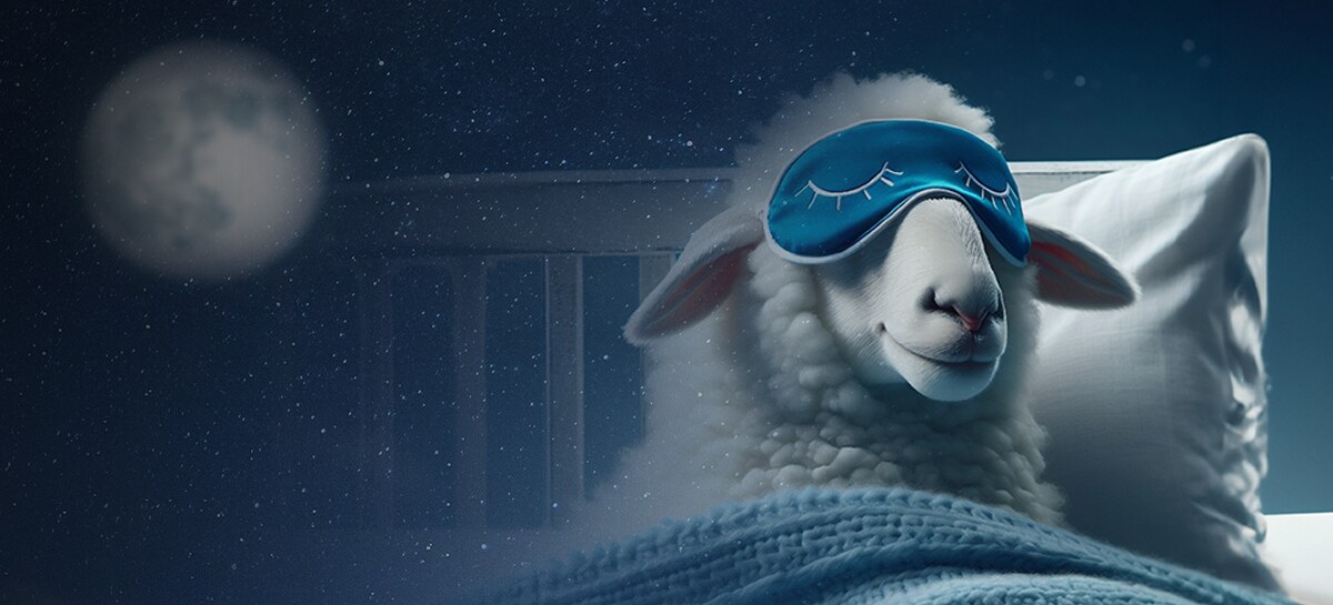 Ráno začíná už večer