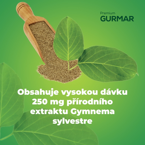 Premium Gurmar 60 enterosolventních tablet Premium Gurmar 60 enterosolventních tablet