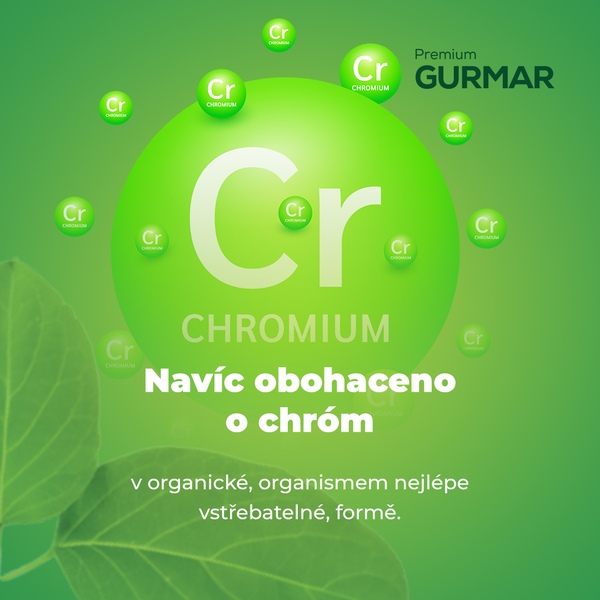 Premium Gurmar 60 enterosolventních tablet Premium Gurmar 60 enterosolventních tablet