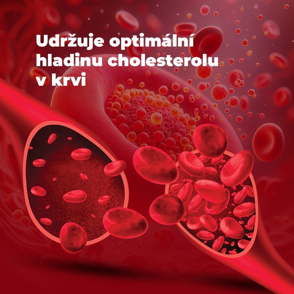 Cholesterol Balance 30+10 tablet NAVÍC výhodné balení 1+1 ZDARMA