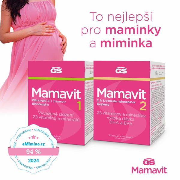 GS Mamavit 1 Plánování a 1. trimestr 30 tablet