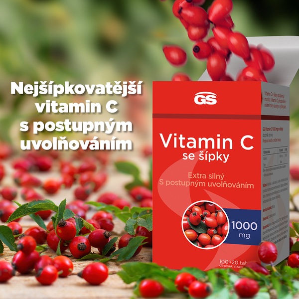 GS Vitamin C 1000 mg se šípky 100+20 tablet GS Vitamin C 1000 mg se šípky 100+20 tablet