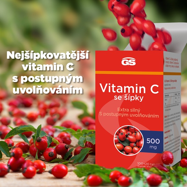 GS Vitamin C 500 mg se šípky 100+20 tablet GS Vitamin C 500 mg se šípky 100+20 tablet