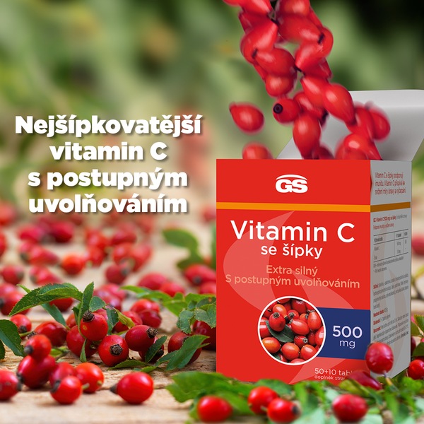 GS Vitamin C 500 mg se šípky 50+10 tablet