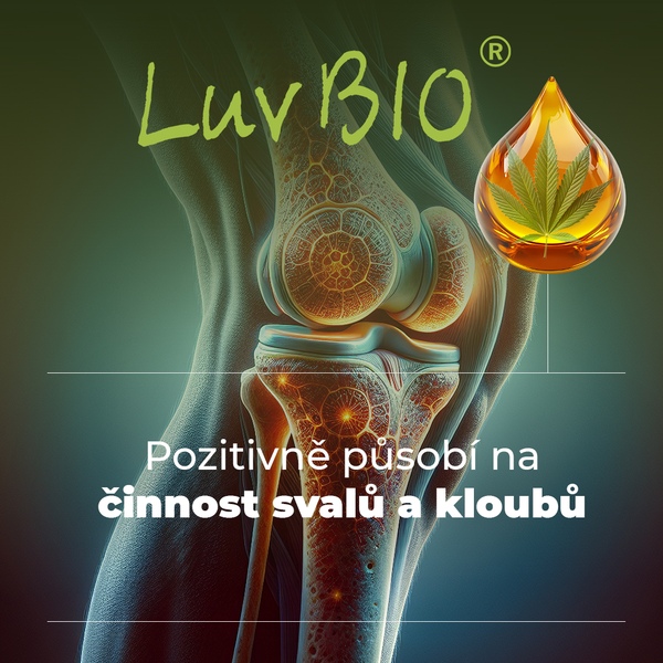 LuvBIO CBD 15 % BIO konopný olej 10 ml