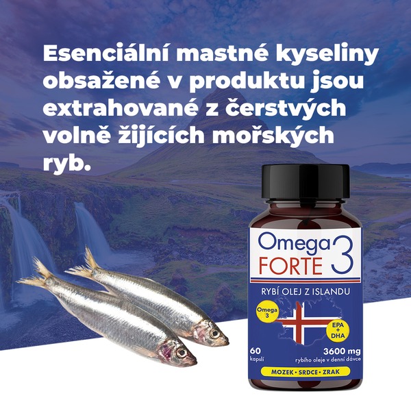 Omega 3 Forte 3600 mg rybí olej 60 kapslí