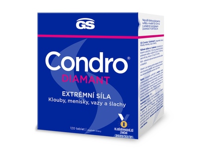 GS Condro Diamant 120 tablet