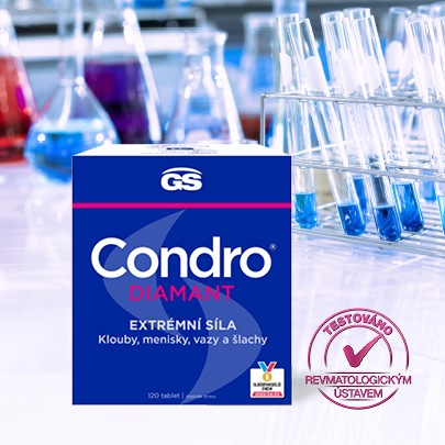 GS Condro Diamant 120 tablet