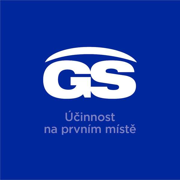 GS Ginkgo 40 mg 90+30 tablet GS Ginkgo 40 mg 90+30 tablet