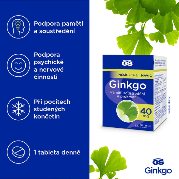 GS Ginkgo 40 mg 90+30 tablet GS Ginkgo 40 mg 90+30 tablet