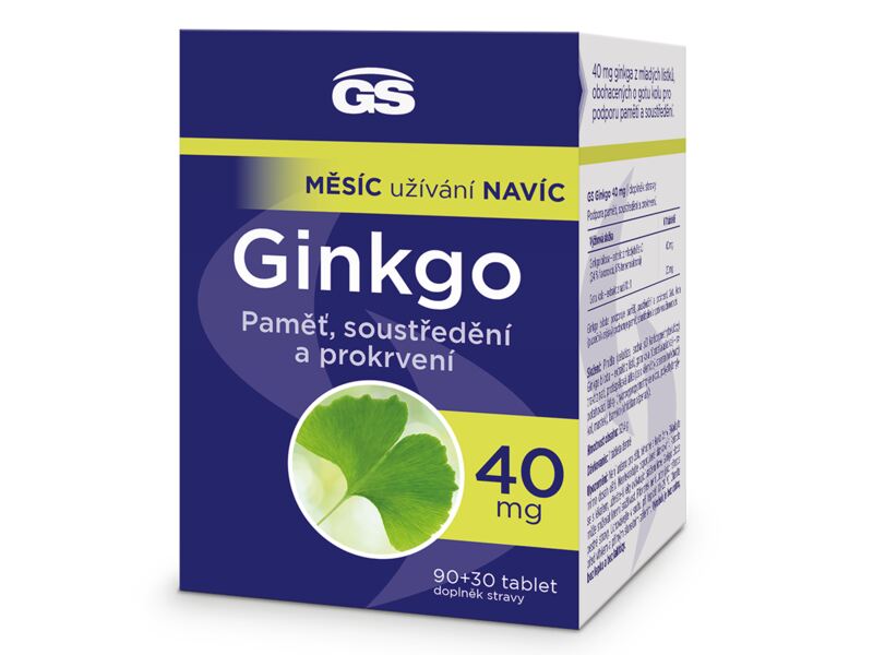 GS Ginkgo 40 mg 90+30 tablet