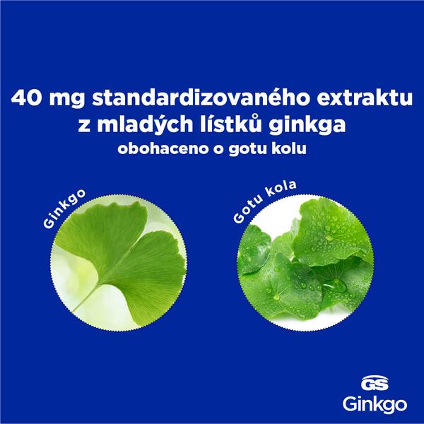 GS Ginkgo 40 mg 90+30 tablet GS Ginkgo 40 mg 90+30 tablet