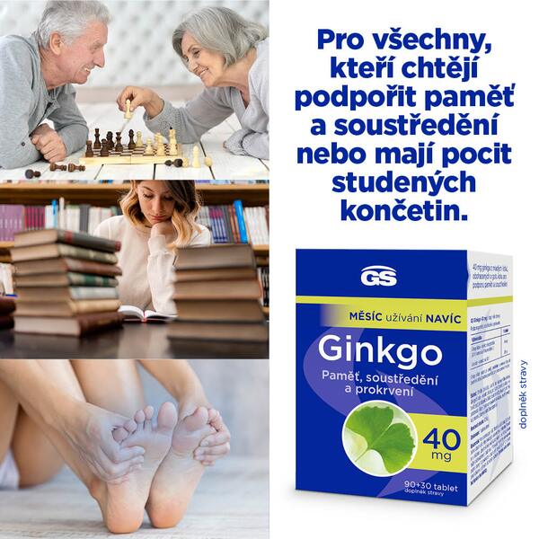 GS Ginkgo 40 mg 90+30 tablet GS Ginkgo 40 mg 90+30 tablet