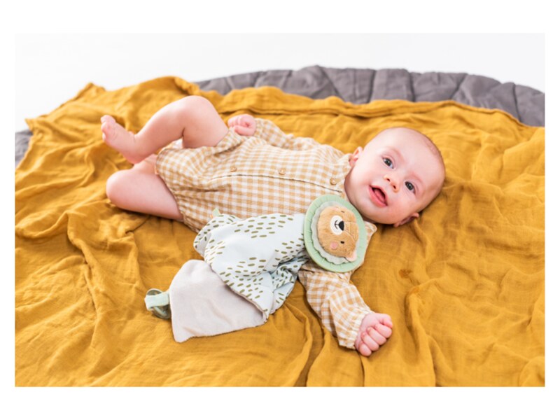 Taf Toys Muchláček lev Harry