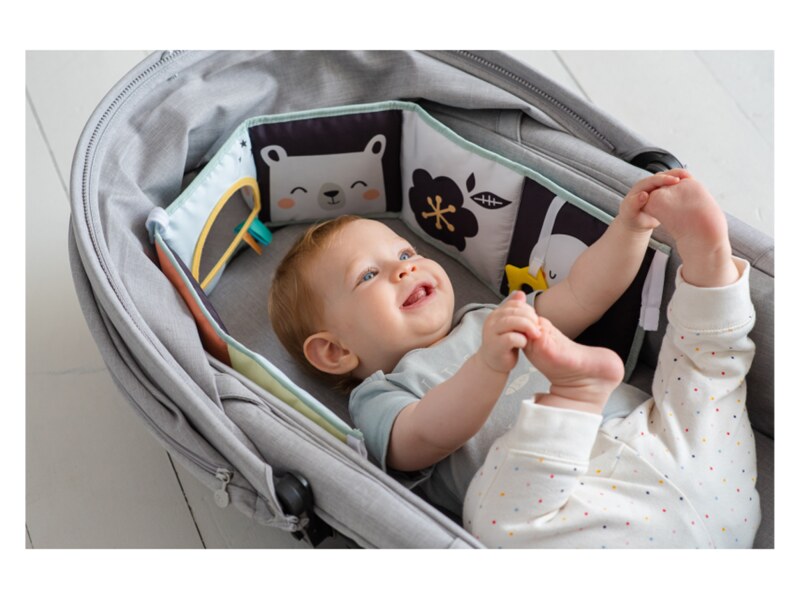 Taf Toys Knížka pro nejmenší Severní pól