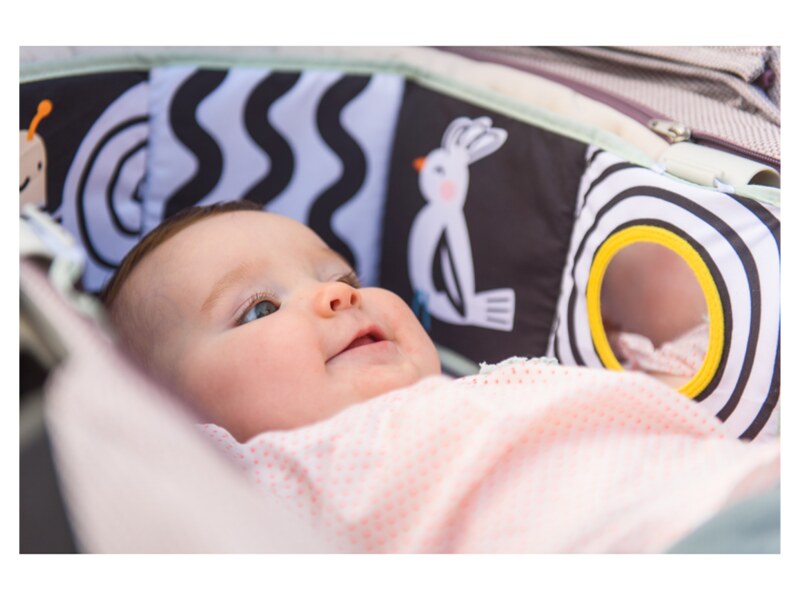 Taf Toys Knížka pro nejmenší Koala