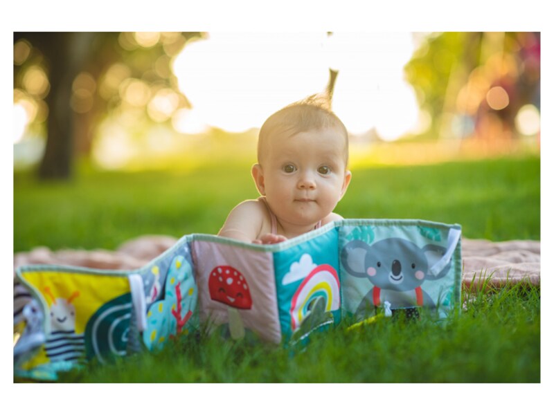 Taf Toys Knížka pro nejmenší Koala