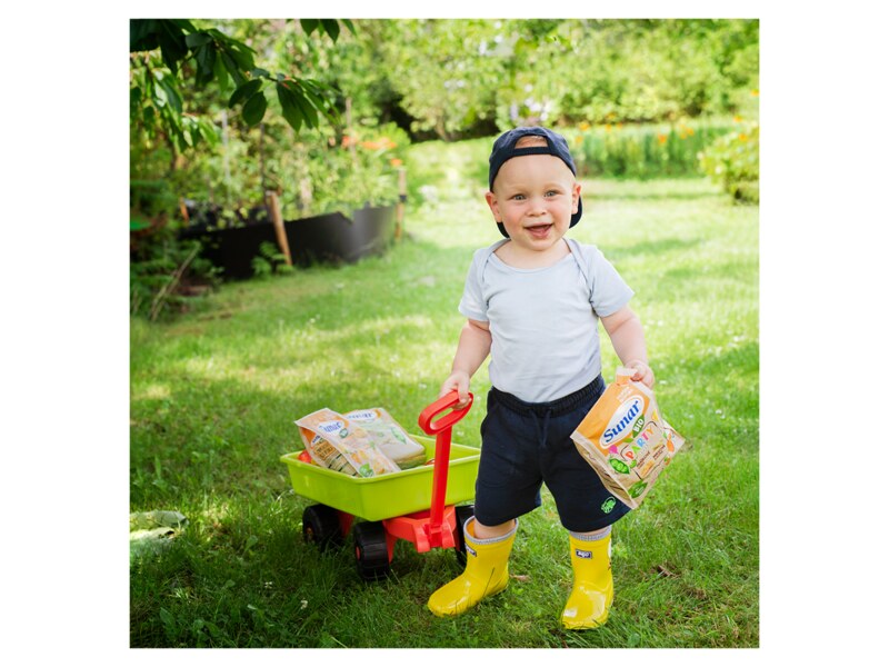 Sunar BIO dětské křupky mrkvová kolečka 45 g 