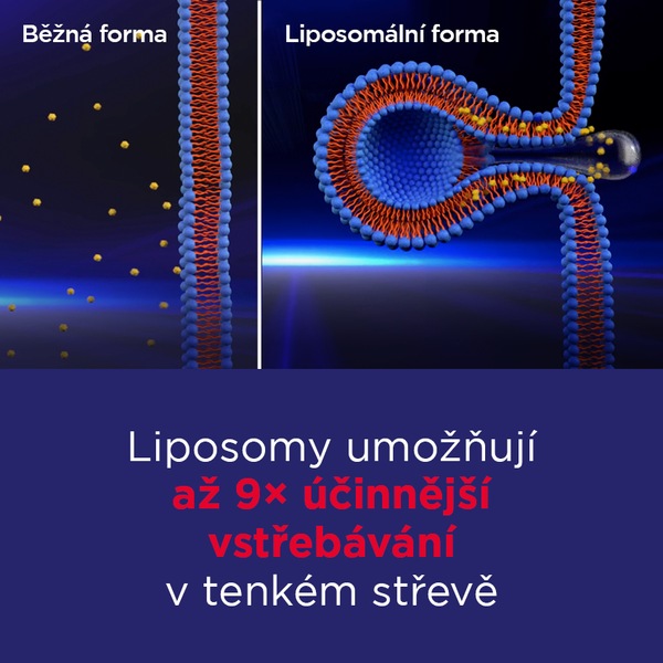 GS Koenzym Lipo Q10 100 mg 60 kapslí