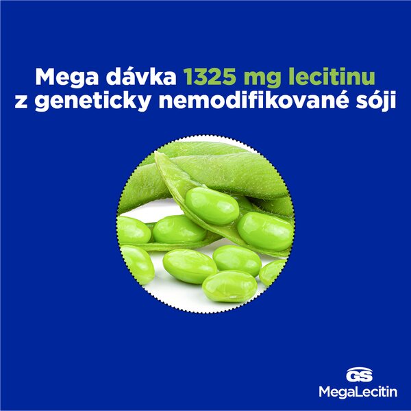 GS MegaLecitin 130 kapslí GS MegaLecitin 130 kapslí