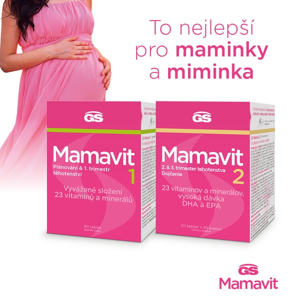GS Mamavit 2 Těhotenství a kojení 30 tablet + 30 tablet