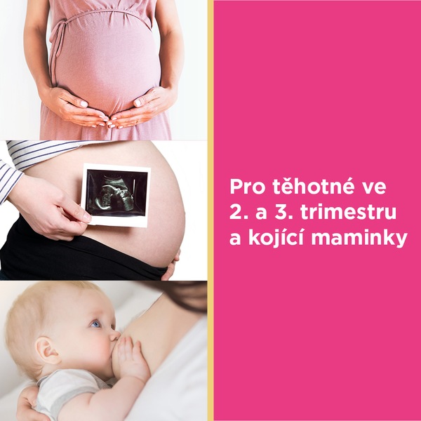 GS Mamavit 2 Těhotenství a kojení 30 tablet + 30 tablet
