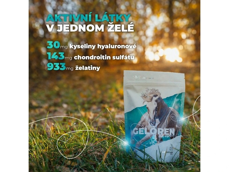 Geloren HA višňový kloubní výživa pro koně 1350 g 180 želé