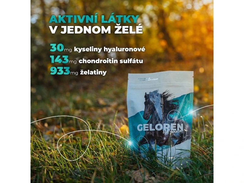 Geloren HA jablečný kloubní výživa pro koně 1350 g 180 želé 