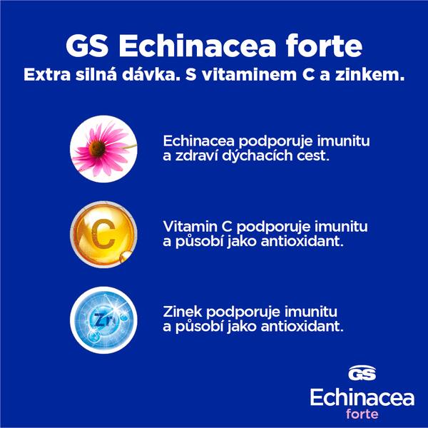 GS Echinacea Forte 600 mg 70+20 tablet GS Echinacea Forte 600 mg 70+20 tablet