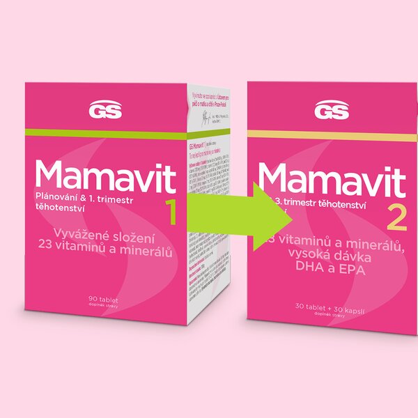 GS Mamavit 1 Plánování a 1. trimestr 90 tablet GS Mamavit 1 Plánování a 1. trimestr 90 tablet
