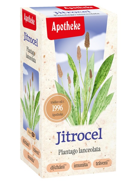 Apotheke Jitrocel čaj 20x1,5 g Apotheke Jitrocel čaj 20x1,5 g