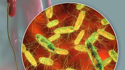 Mikrobiom a zdravé močové cesty – nejen téma pro ženy Mikrobiom a zdravé močové cesty – nejen téma pro ženy