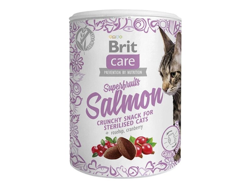 Brit Care Cat Snack Superfruits Salmon 100 g