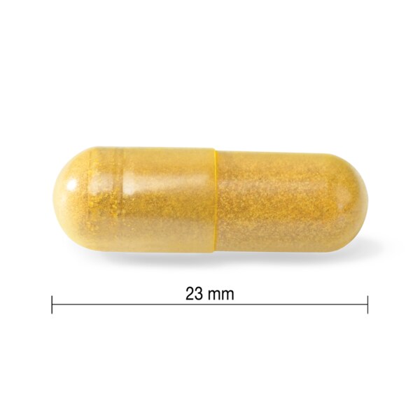 Jamieson Kurkumin s černým pepřem 60 kapslí