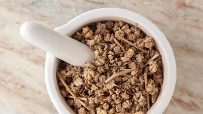 Kotvičník zemní – jen pro muže pro lepší erekci? Kotvičník zemní – jen pro muže pro lepší erekci?