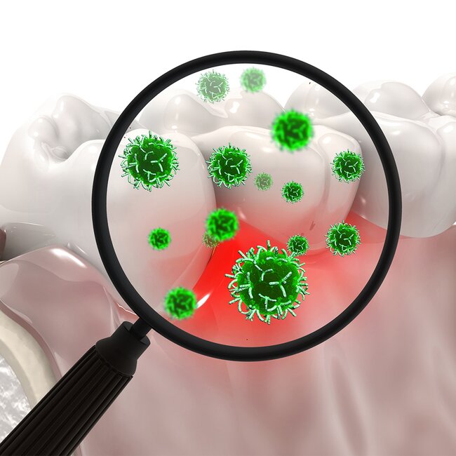 Podpora orálního mikrobiomu - Podpora orálního mikrobiomu Podpora orálního mikrobiomu