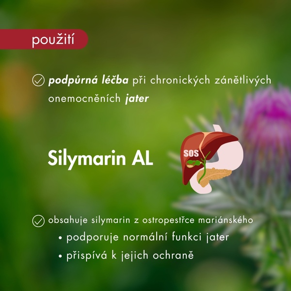 Silymarin AL 50 mg 100 tablet Silymarin AL 50 mg 100 tablet