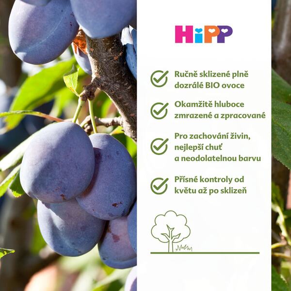 Hipp BIO Hrušky se švestkami 4/6m 160 g