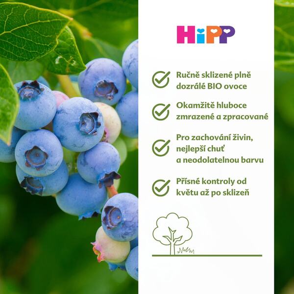 Hipp BIO Jablka s borůvkami 4/6m 160 g