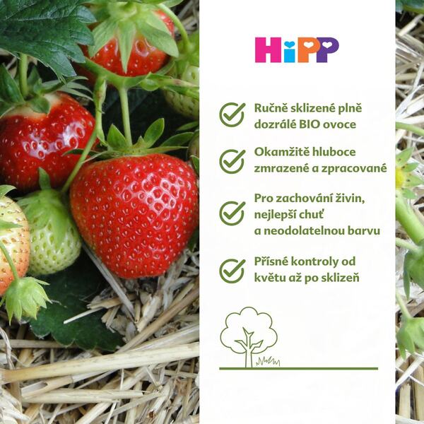 Hipp BIO Jablka s jahodami a hruškami 4/6m 160 g